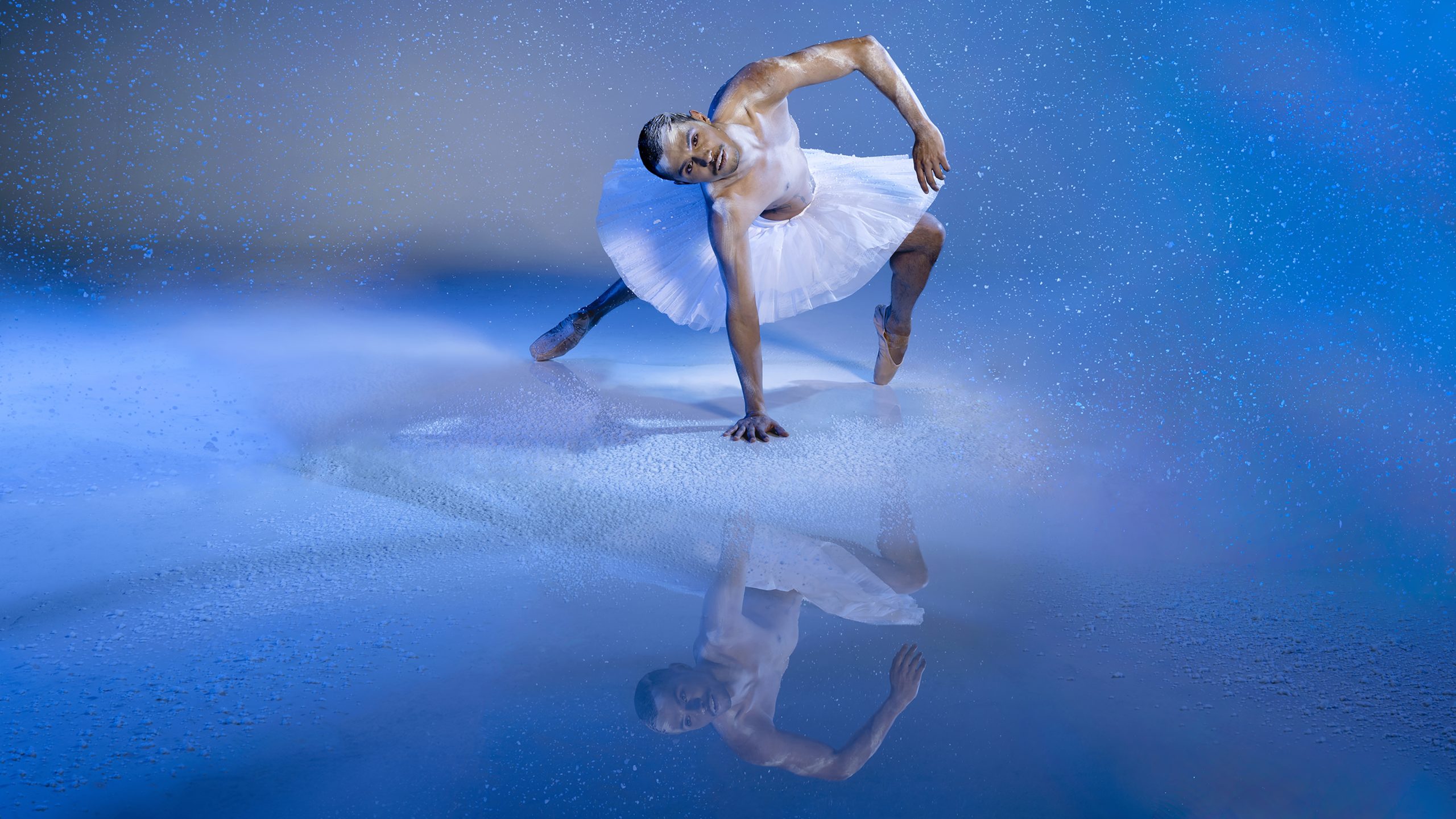 Swan Lake December 16th, 2023 March 10th, 2024 Introdans